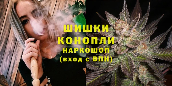 ECSTASY Богородицк