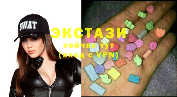 ECSTASY Богородицк